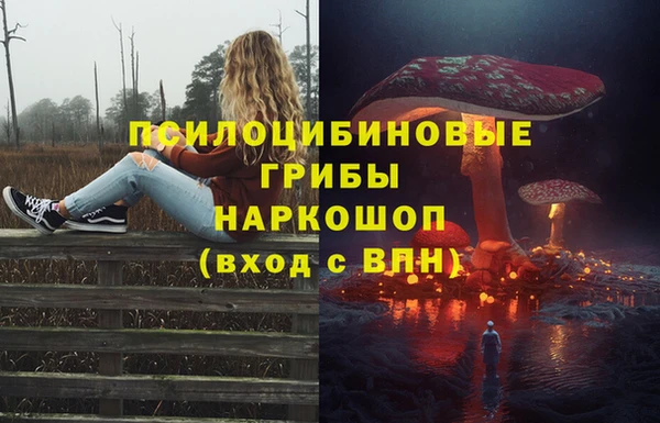 соль ск Володарск