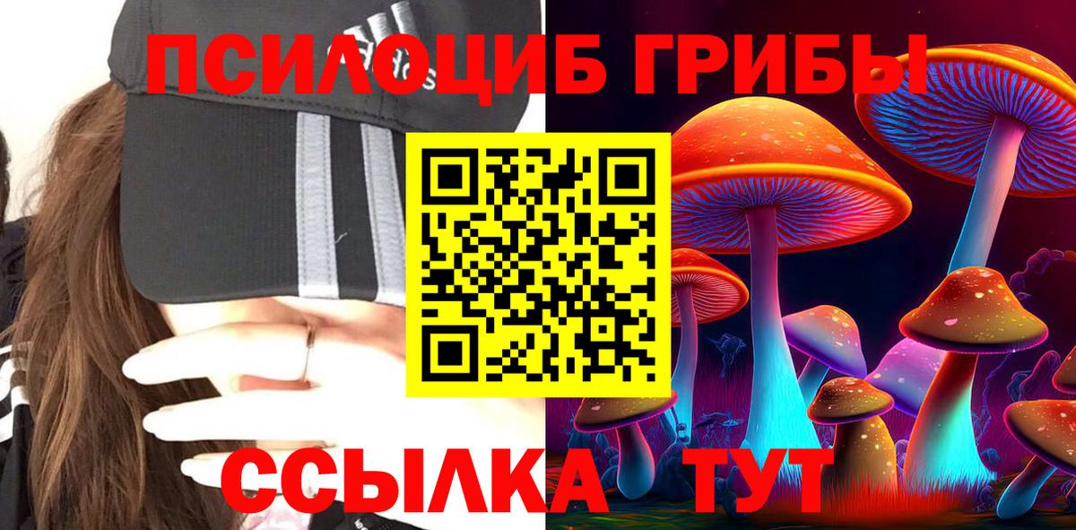 Галлюциногенные грибы мицелий  Псилоцибиновые грибы Psilocybe  Альметьевск  Вход с VPN 